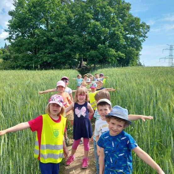 Lesní bohatství u Broučků