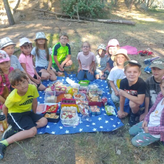 Piknik u lomu 1.třída