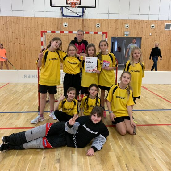Okresní kolo – Příbram_dívky I. st. ČEPS CUP