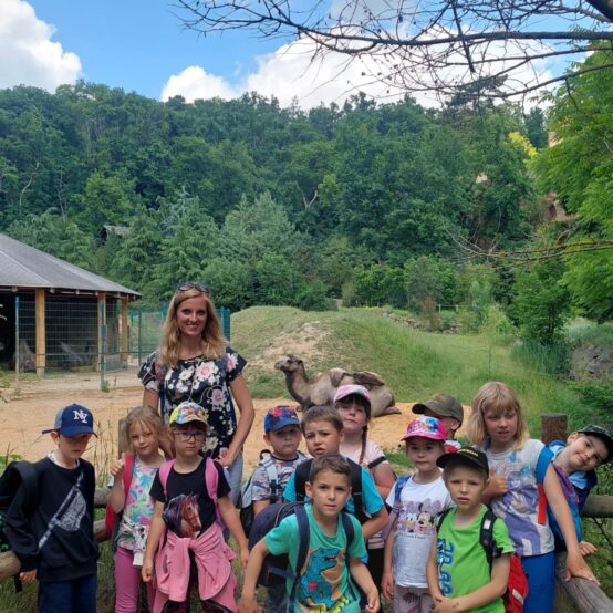 Sovičky v ZOO