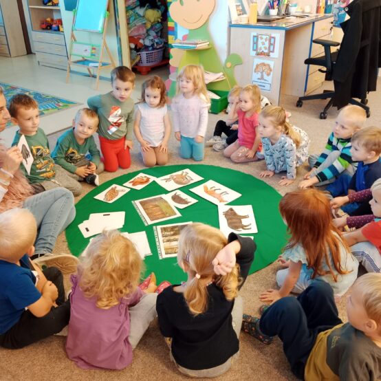 Zvířátka v lese