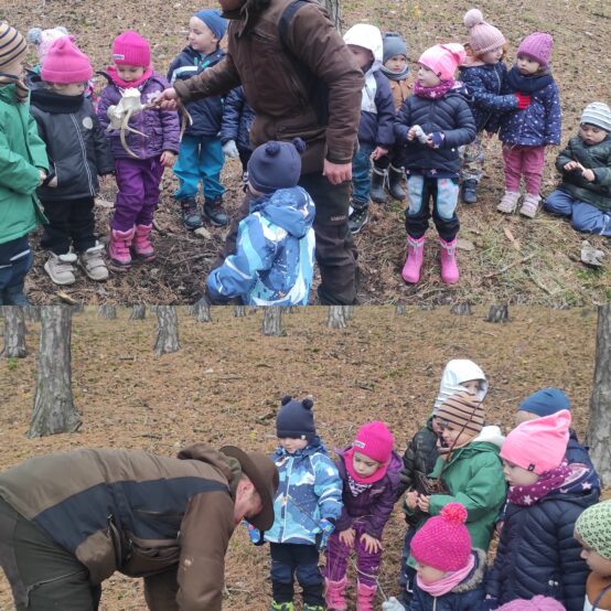 Lesní pedagogika u Sluníček