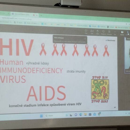 Beseda HIV/AIDS 8. třída