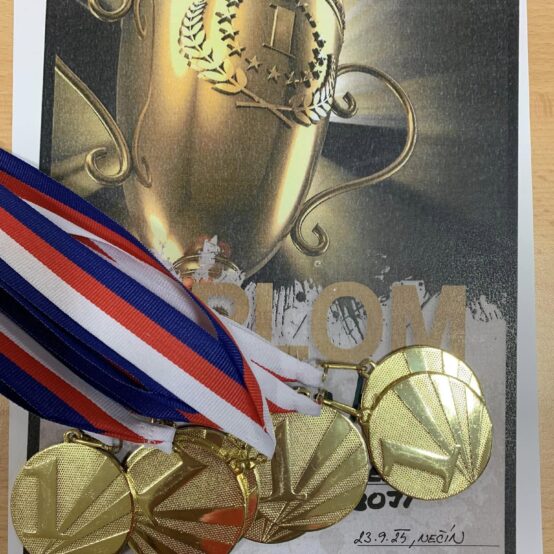 Nečínský desetiboj 2024