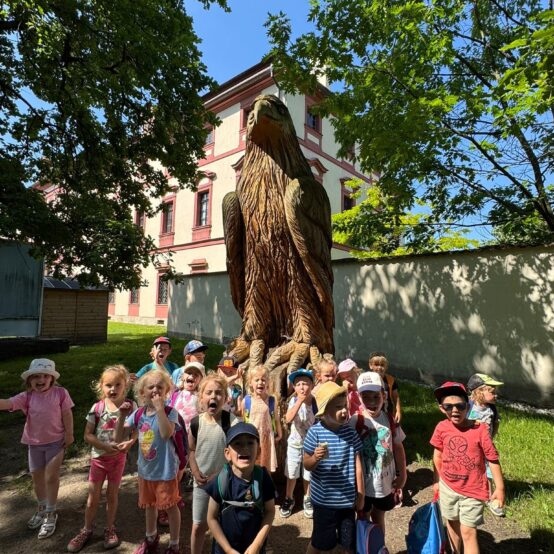 Zvířátka v ZOO, Sluníčka
