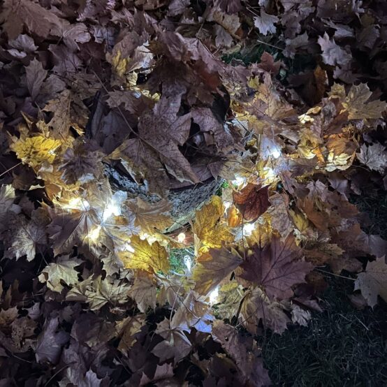 Uspávání Broučků s rodiči, Broučci