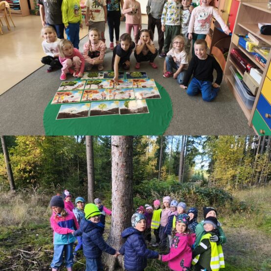 Kaštánkohraní u Soviček