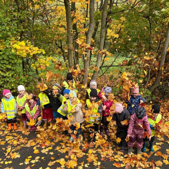 Den stromů, Broučci