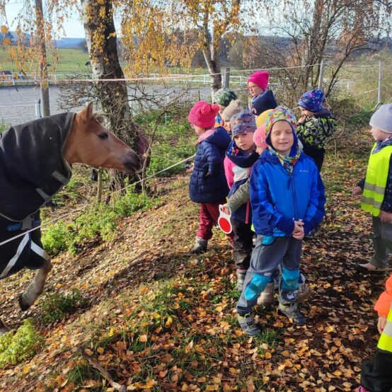 Legenda o svatém Martinovi u Soviček