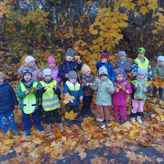 Sluníčka v říši podzimních barev