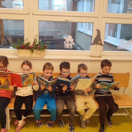 Ptáci v zimě u Soviček