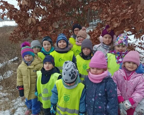 Ptáci v zimě u Broučků a Sluníček