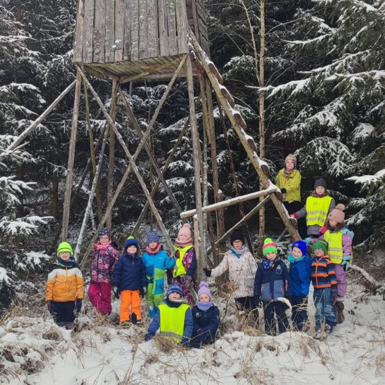 Zvířata v lese u Soviček