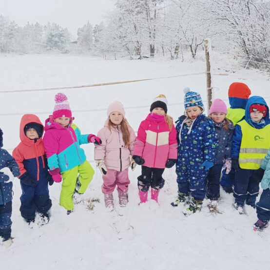 Sluníčka u krmelce