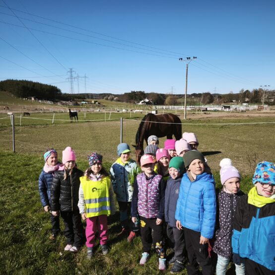 Mláďata na dvorku, Sovičky