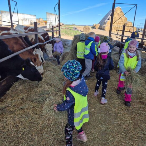 Zvířátka na dvorku, Broučci