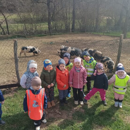 Sluníčka a mláďata na jaře