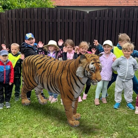 Broučci, Zvířátka v ZOO