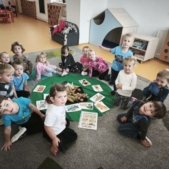 Sluníčka a sklizeň na poli